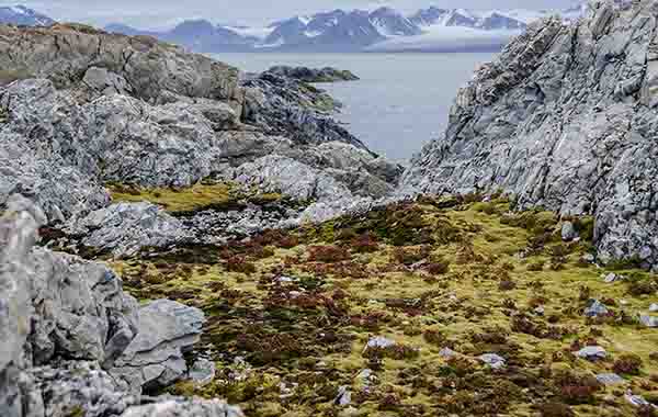 162 - Noruega - islas Svalbard - isla de Spitsbergen - Midterhuken